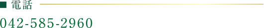 電話番号:042-585-2960