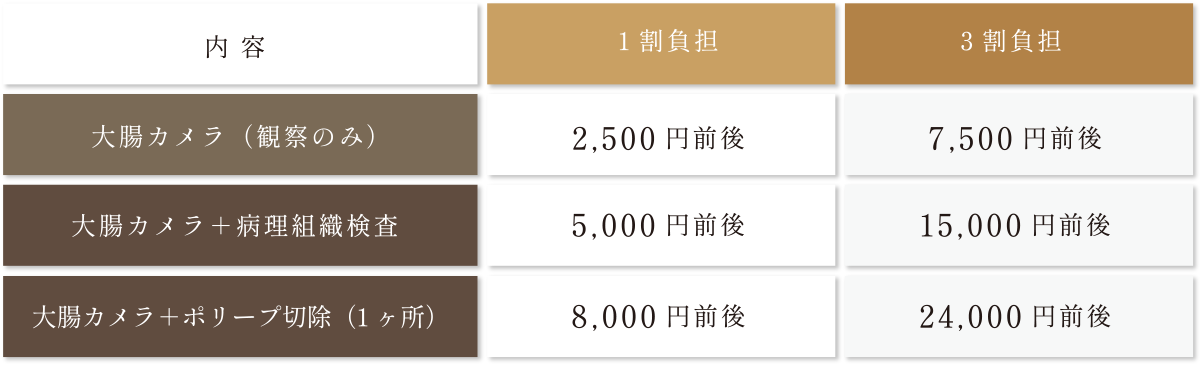 大腸カメラ（観察のみ）1割負担：2,500円前後、3割負担：7,500円前後。大腸カメラ＋病理組織検査1割負担：5,000円前後、3割負担15,000円前後。大腸カメラ＋ポリープ切除（1ヶ所）1割負担：8,000円前後、3割負担：24,000円前後。