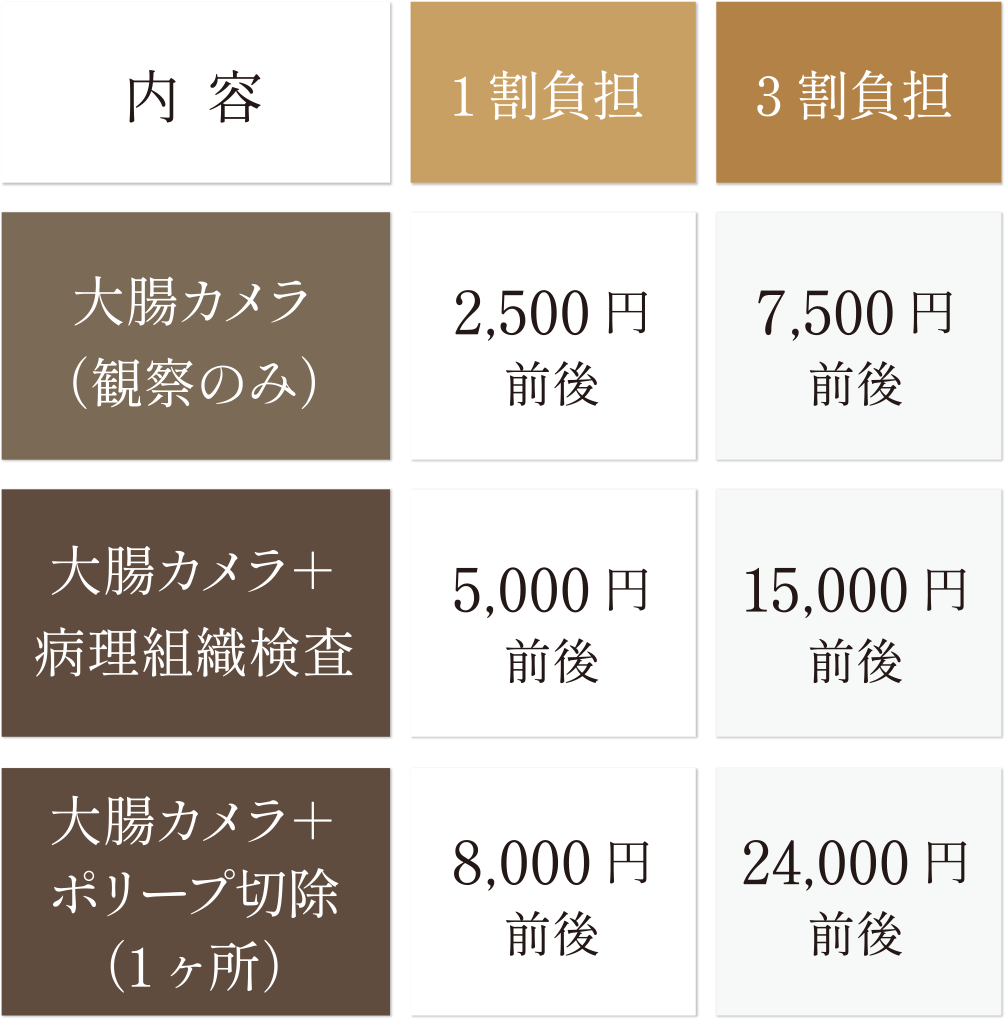 胃カメラ（観察のみ）1割負担：1,500円前後、3割負担：4,500円前後。胃カメラ＋病理組織検査1割負担：3,000円前後、3割負担9,000円前後。