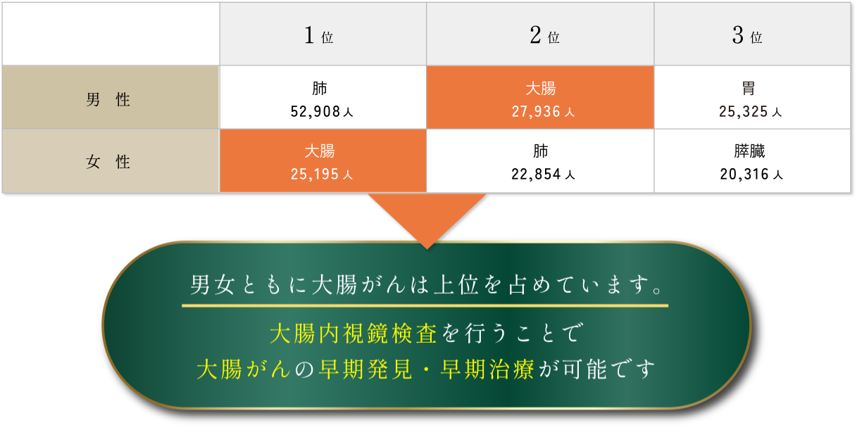 2023年 部位別がん死亡数の表／男女ともに大腸がんは上位を占めています。大腸内視鏡検査を行うことで大腸がんの早期発見・早期治療が可能です。