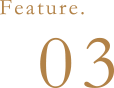 Feature.03